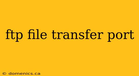 ftp file transfer port