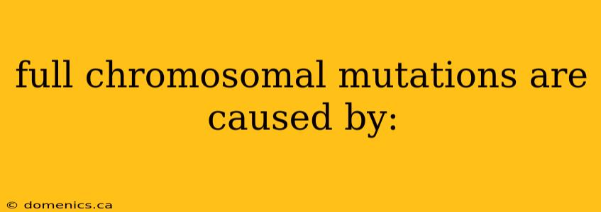 full chromosomal mutations are caused by: