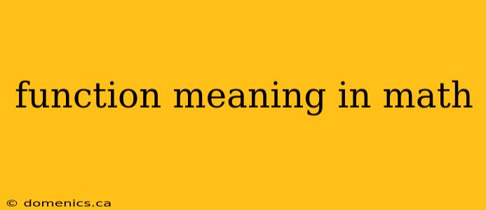 function meaning in math