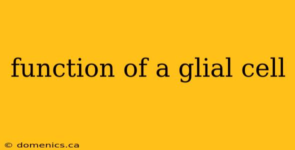 function of a glial cell