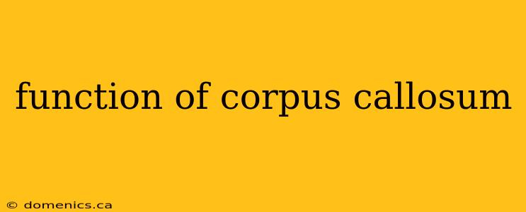 function of corpus callosum