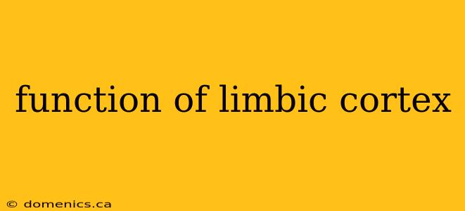 function of limbic cortex