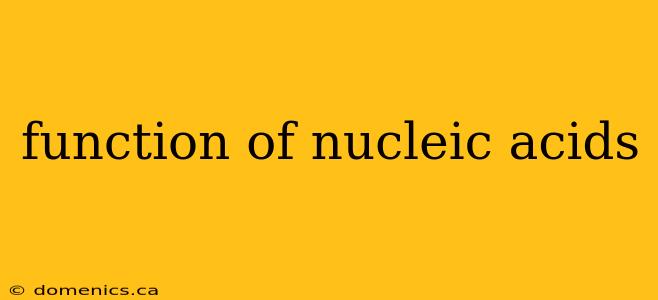 function of nucleic acids