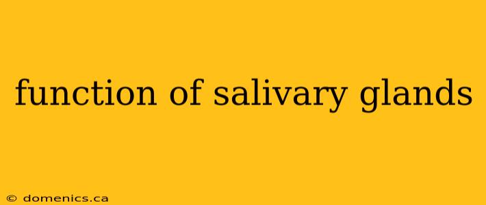 function of salivary glands