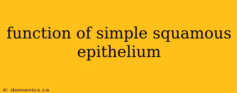 function of simple squamous epithelium