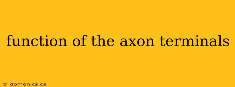 function of the axon terminals