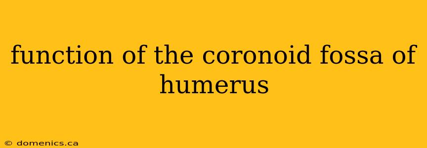 function of the coronoid fossa of humerus