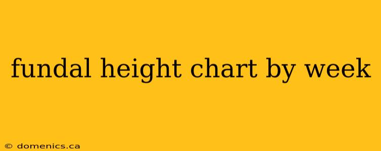 fundal height chart by week