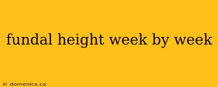 fundal height week by week