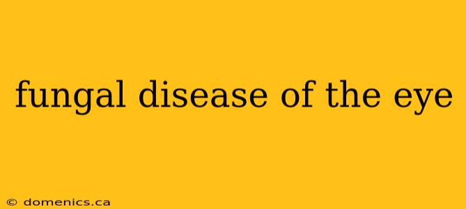 fungal disease of the eye