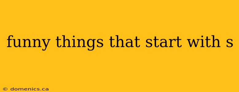 funny things that start with s