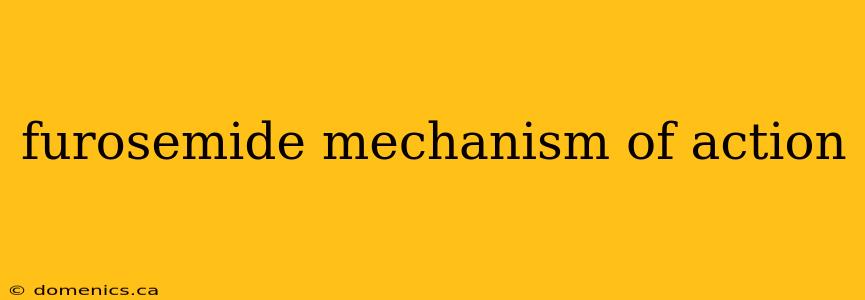 furosemide mechanism of action