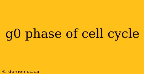 g0 phase of cell cycle