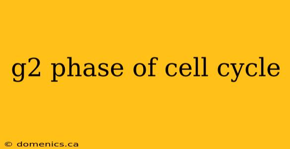 g2 phase of cell cycle