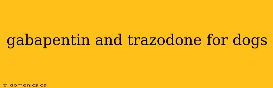 gabapentin and trazodone for dogs