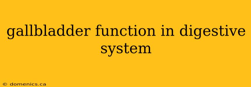 gallbladder function in digestive system