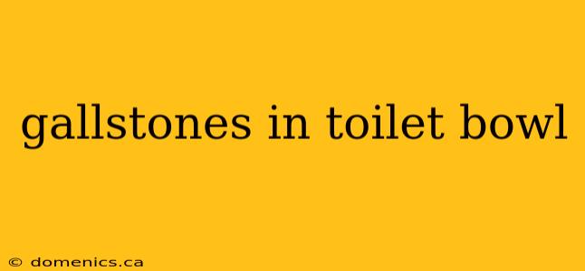 gallstones in toilet bowl