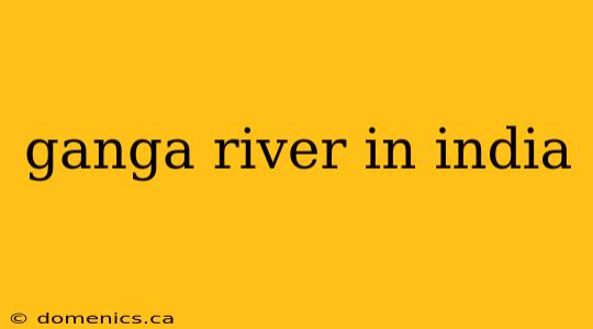 ganga river in india