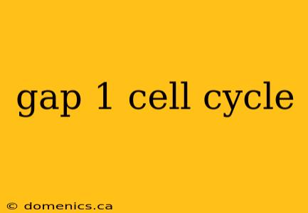 gap 1 cell cycle