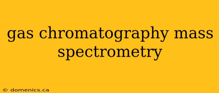 gas chromatography mass spectrometry