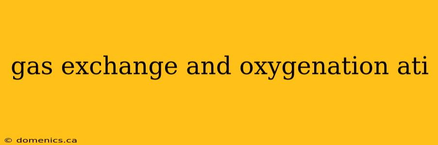 gas exchange and oxygenation ati