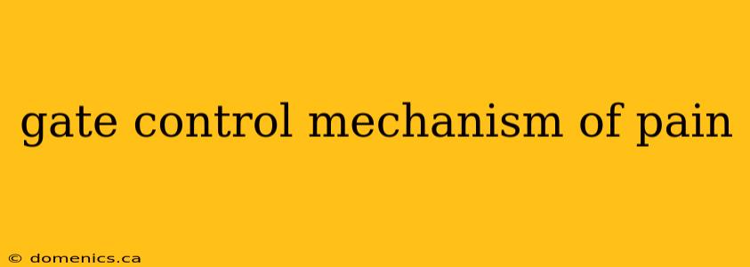 gate control mechanism of pain