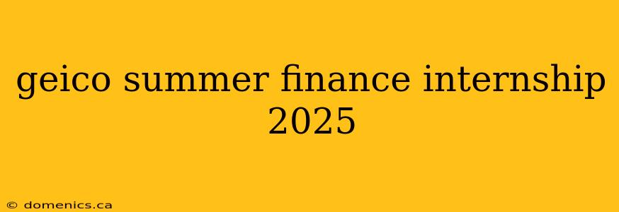 geico summer finance internship 2025
