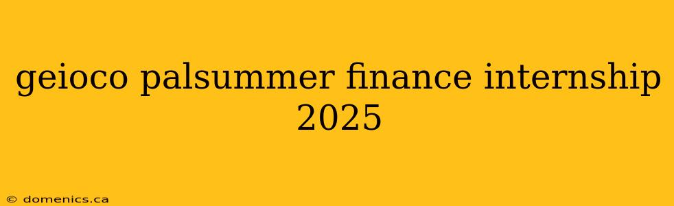 geioco palsummer finance internship 2025