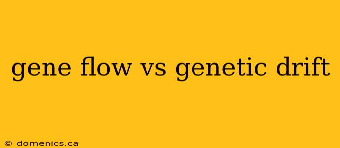 gene flow vs genetic drift