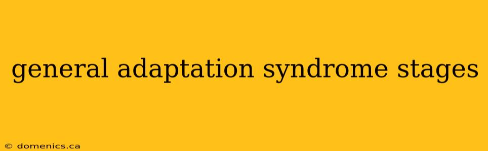 general adaptation syndrome stages