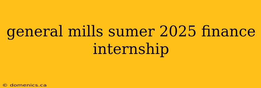 general mills sumer 2025 finance internship