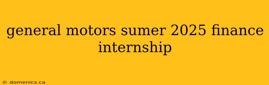 general motors sumer 2025 finance internship