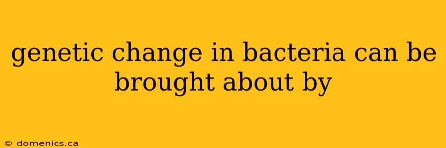 genetic change in bacteria can be brought about by