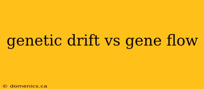 genetic drift vs gene flow