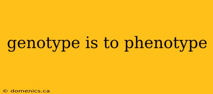 genotype is to phenotype