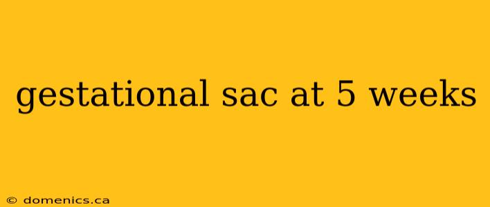 gestational sac at 5 weeks