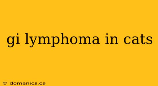 gi lymphoma in cats