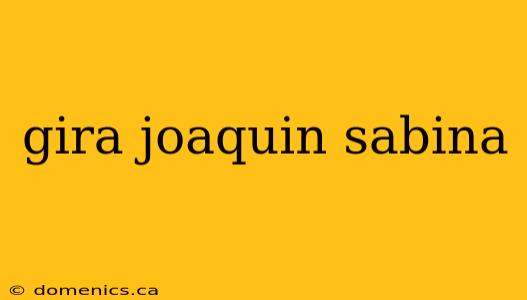 gira joaquin sabina