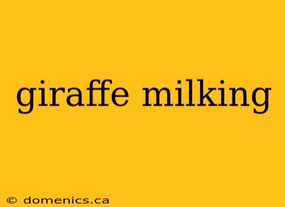 giraffe milking