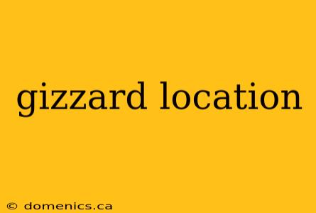 gizzard location