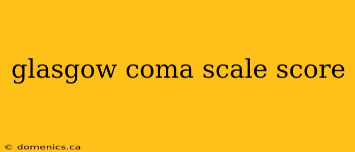 glasgow coma scale score