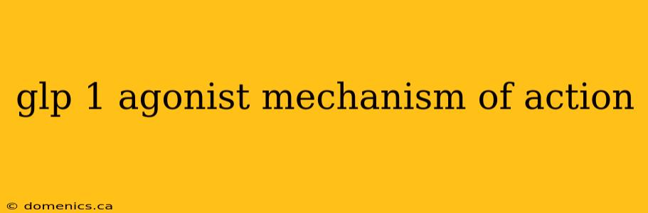 glp 1 agonist mechanism of action