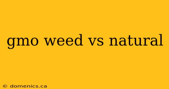 gmo weed vs natural