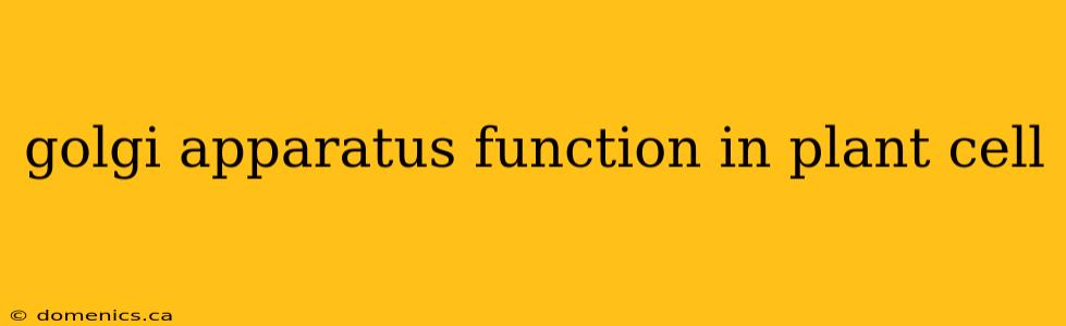 golgi apparatus function in plant cell