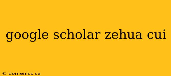 google scholar zehua cui