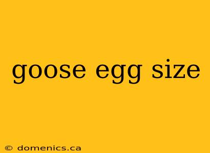 goose egg size