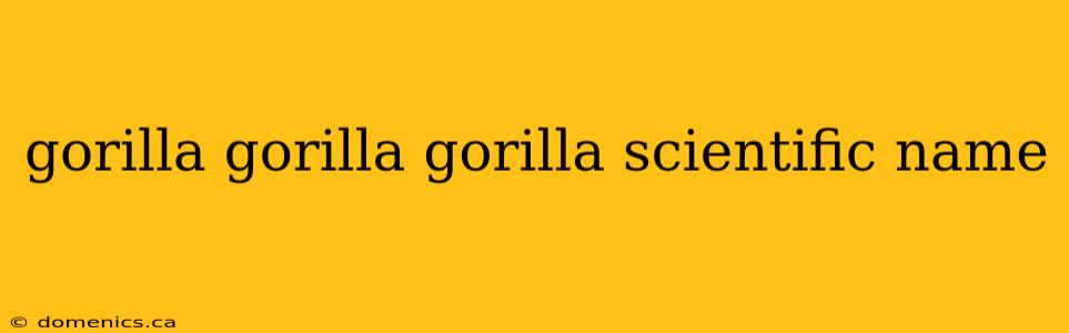 gorilla gorilla gorilla scientific name