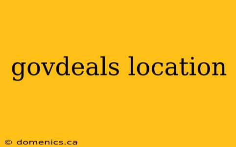 govdeals location