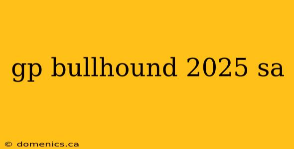 gp bullhound 2025 sa