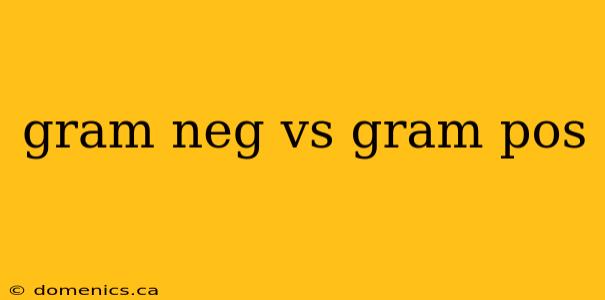 gram neg vs gram pos